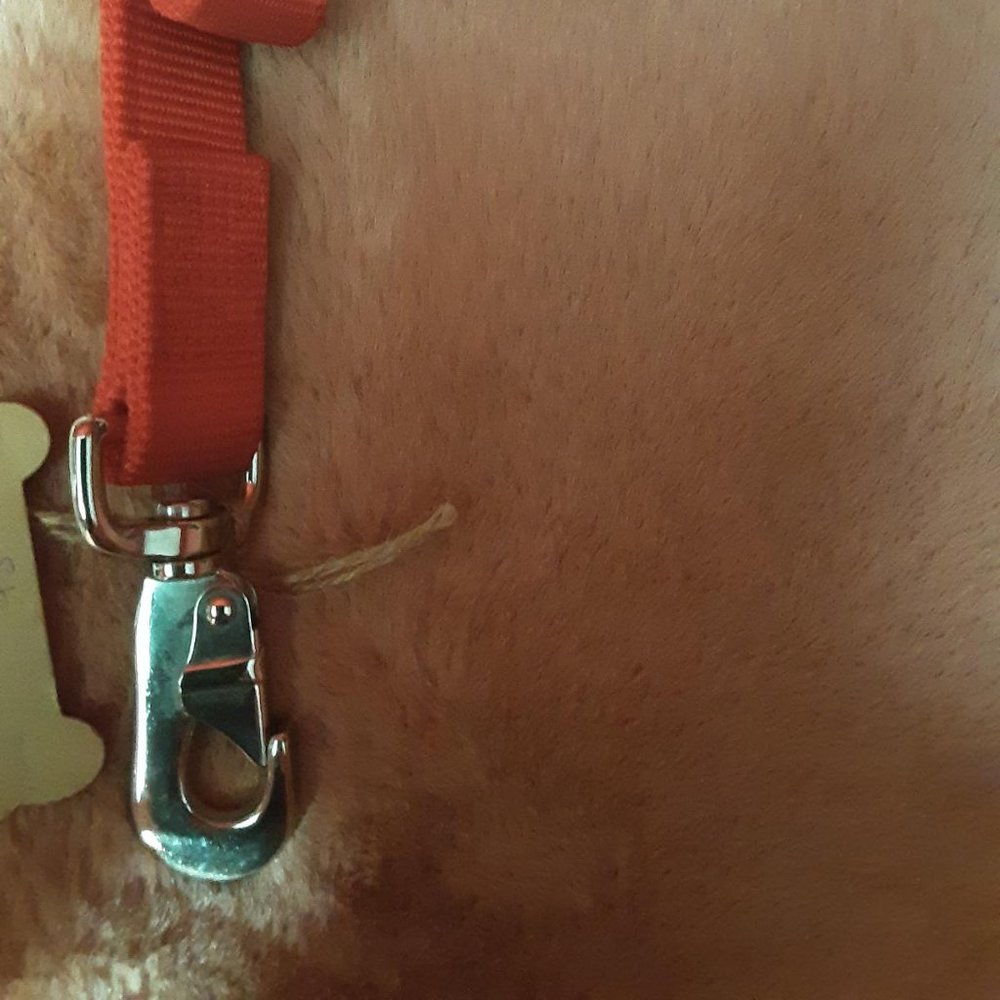 4 foot Red Double Layer Dog Lead for medium - large dogs